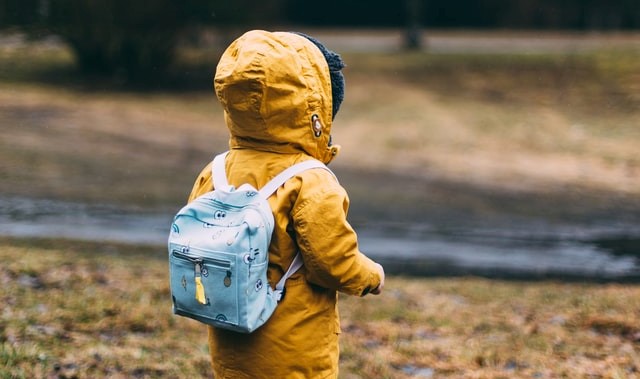 Best Interests of the Child